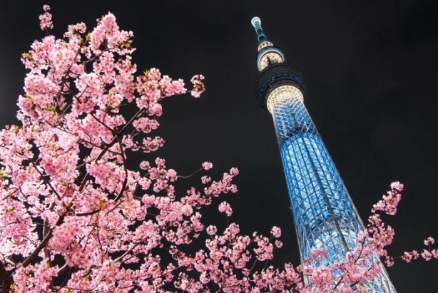 日本 JAPAN